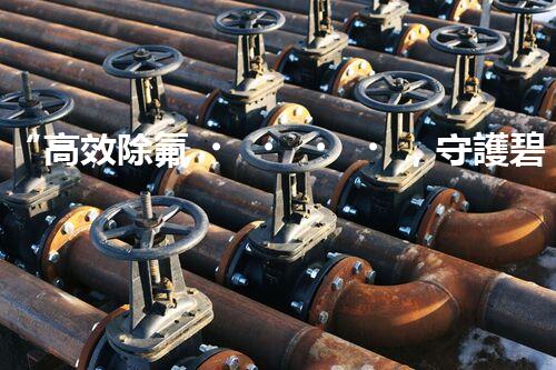 “高效除氟，守護碧水藍天——廢水中氟離子處理新篇章”